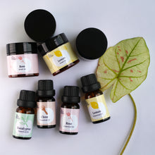 Load image into Gallery viewer, The Smell Project—smell training kit—Essentials—smell jars and essential oils with plant
